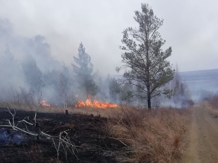 Девять пожаров потушили в лесах Приангарья за сутки