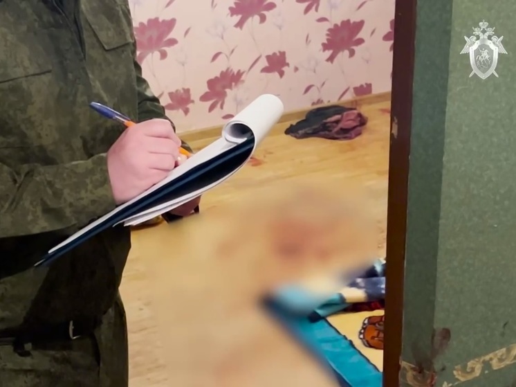 СУ СК: в Краснодаре ревнивец зарезал кухонным ножом двоих собутыльников