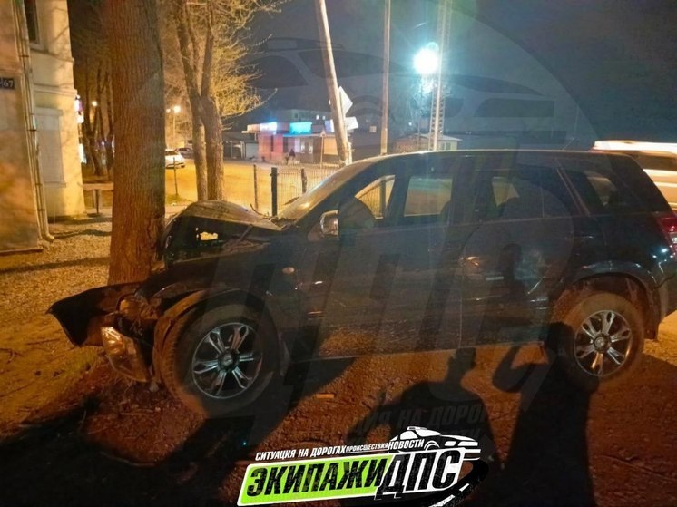 Врезавшийся в дерево пьяный водитель получил 111 штрафов во Владивостоке
