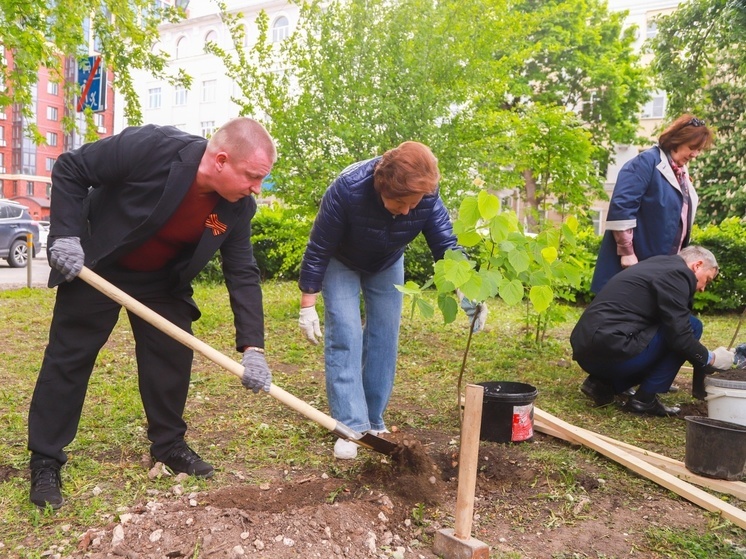 В Липецке высадили липовую аллею в память о ветеранах Великой Отечественной войны