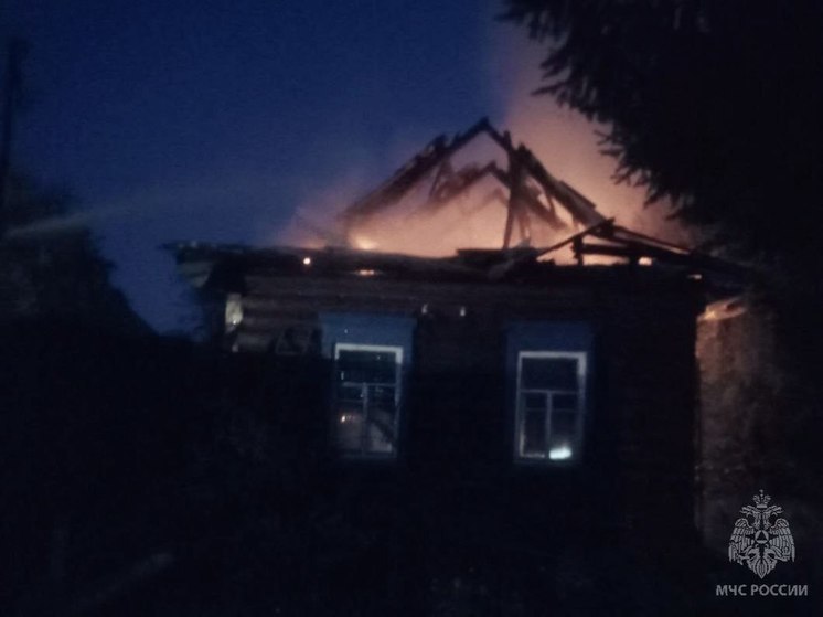 Мужчина погиб на пожаре в брянском селе Новый Ропск