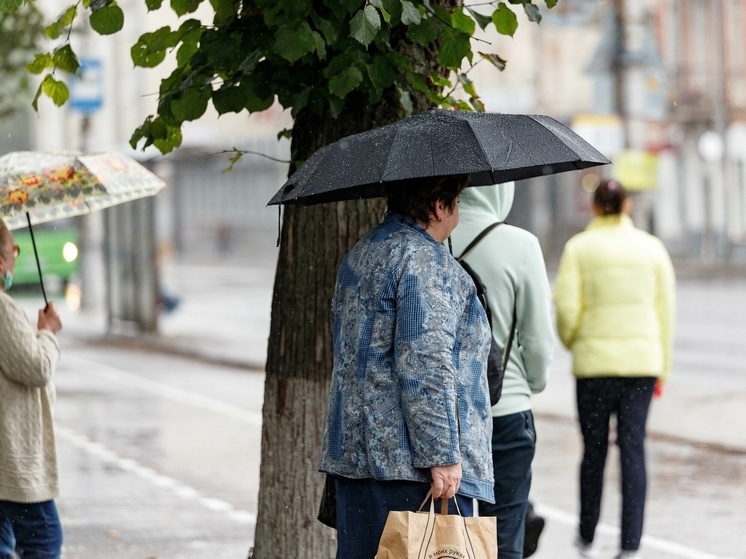 Небольшой дождь ожидается в Псковской области 5 мая