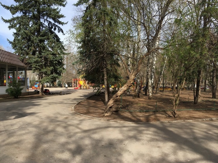 Парк "Липки" частично откроется для саратовцев после реконструкции