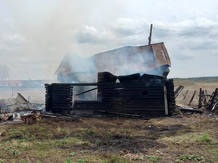 Дом многодетной семьи из алтайского села мог сгореть из-за детской шалости