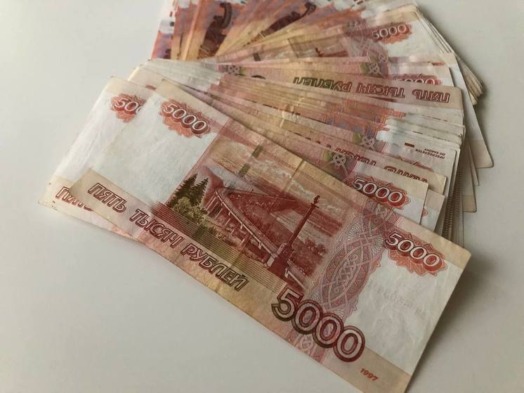 Жителя Мурино подозревают в краже из банка в Ленобласти более 28 млн рублей