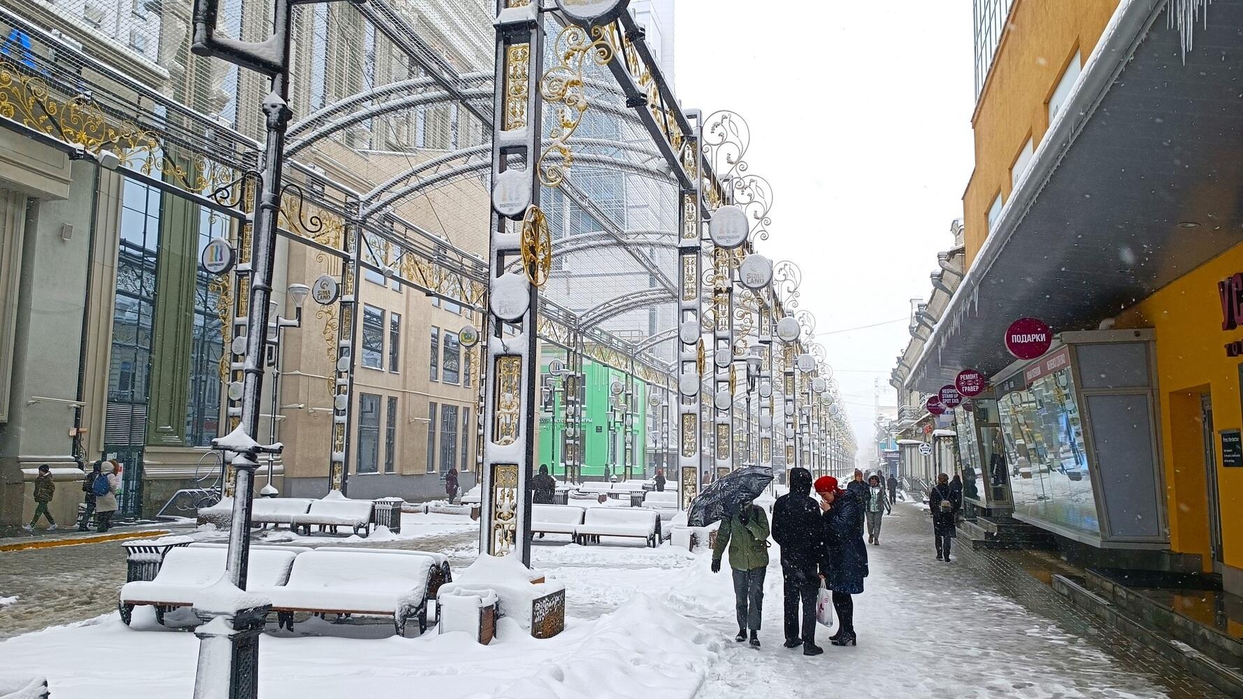 Снегопад в Екатеринбурге сломал деревья, повредил машины и помешал прогулкам