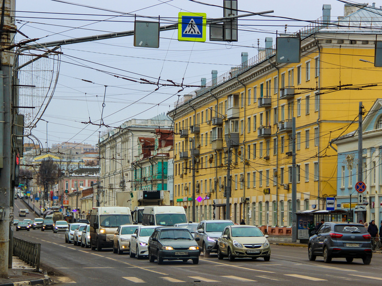 На улице Кутузова в Туле замечен гуляющий енот