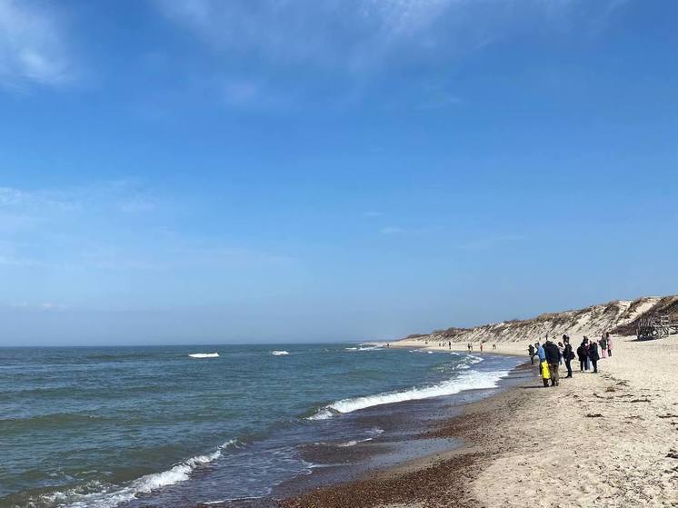Ученые предупредили об угрозе загрязнения Балтийского моря таллием