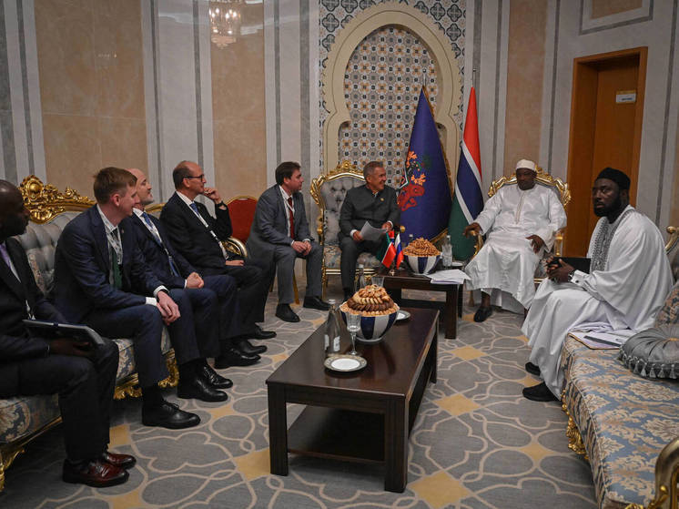 Минниханов в Гамбии встретился с лидерами трех африканских стран и главой МИД Турции