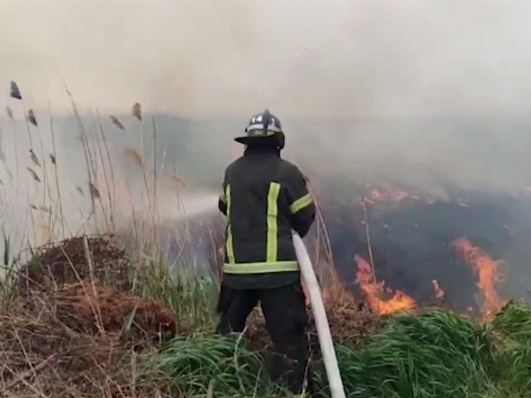 С начала года в Запорожской области более 450 горели сухая трава и мусор