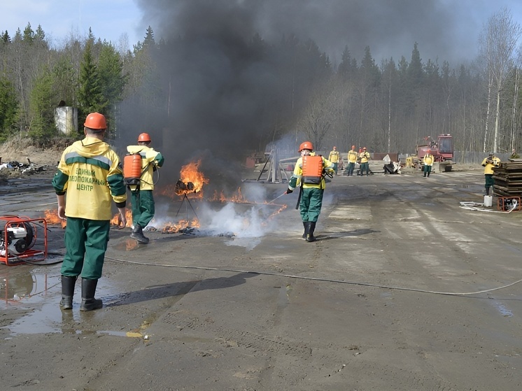 В Поморье подвели итоги подготовки к пожароопасному сезону