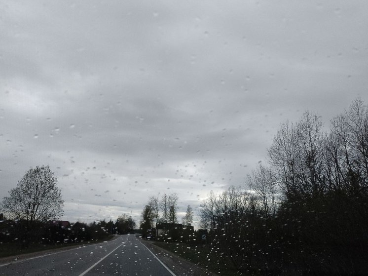 Дождь, снег и до +10 градусов пообещали синоптики 5 мая жителям Ленобласти