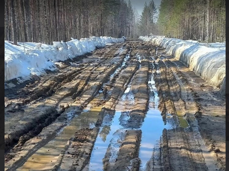 Движение транспорта ограничили из-за переувлажнения дороги на севере Карелии