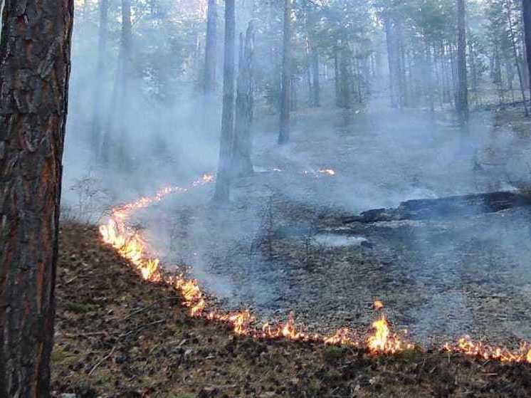 На севере Бурятии обнаружено пять лесных пожаров