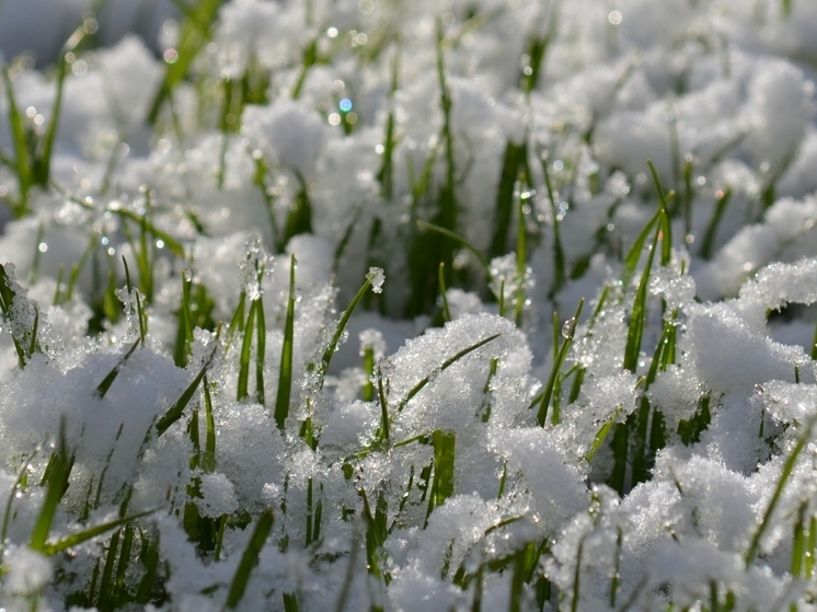 Возможен снег и до +8 градусов: прогноз погоды на Сахалине и Курилах на 6 мая