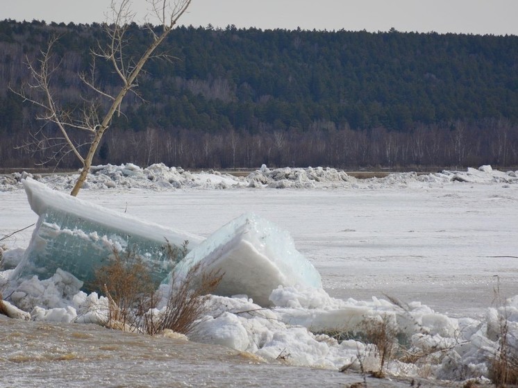 За минувшие сутки ледоход прошел 54 км на Оби в Томской области