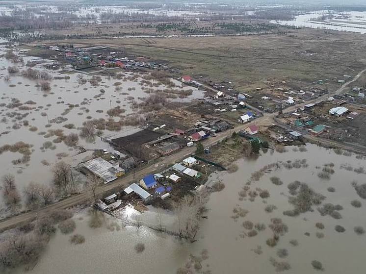 Облправительство: Уровень воды в реке Ишим в селе Абатское достиг 1234 сантиметров