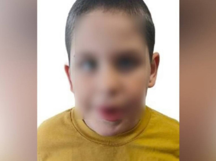 В Воронеже случайный прохожий опознал пропавшего 8-летнего ребенка