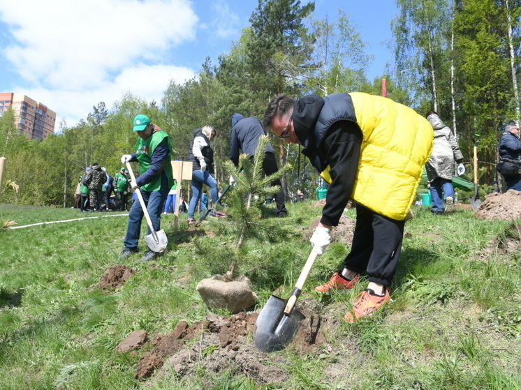 В Татарстане участники акции «Сад памяти» посадили 1,5 млн саженцев