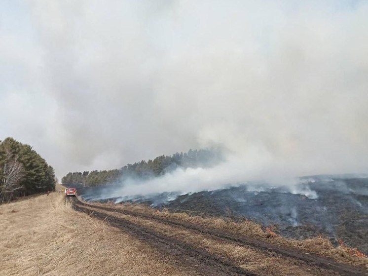 В Иркутской области ликвидировано девять лесных пожаров