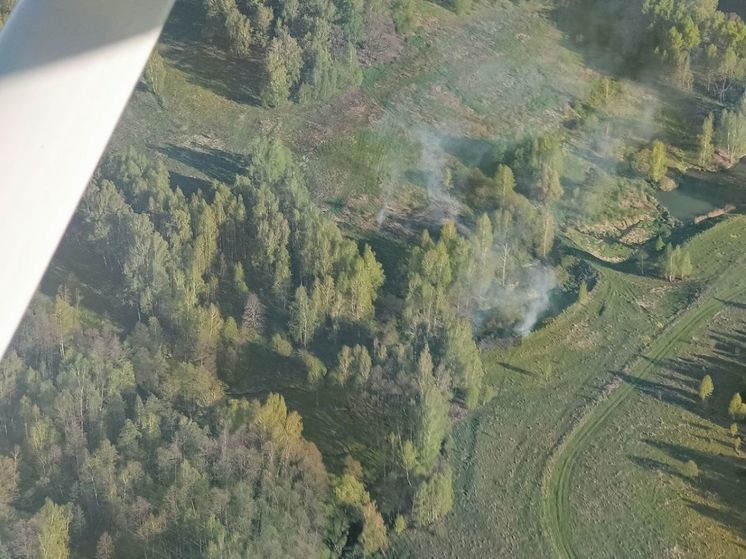Крупный лесной пожар в Балашихе ликвидировали огнеборцы Подмосковья