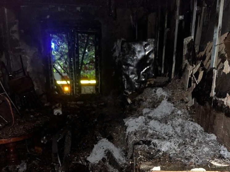 Пожар в Кузнецке унес жизнь 73-летней местной жительницы