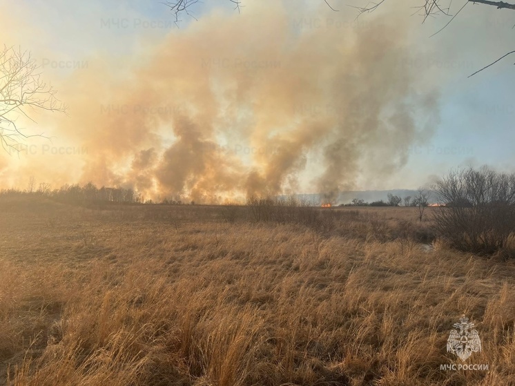 Больше 1600 гектаров природных пожаров потушили за сутки в Приморье