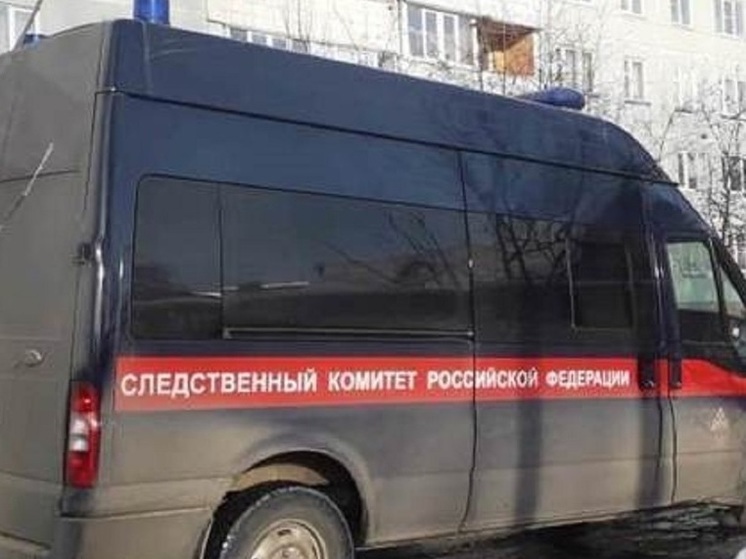 Следователи начали проверку по избиению двух девочек мигранткой в Обнинске