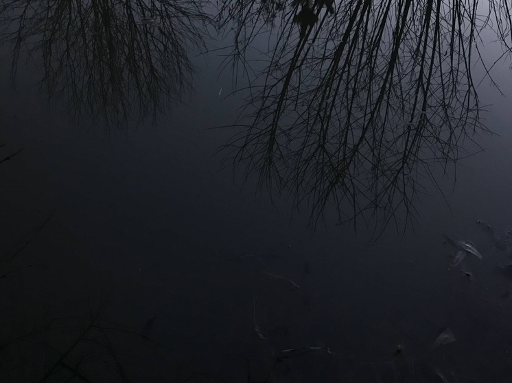 В озере Селигер нашли тело утонувшего