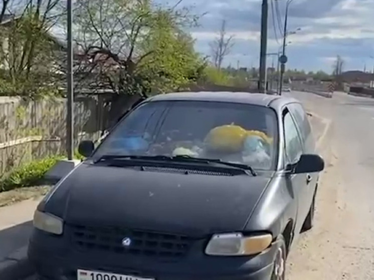 Режиссер с дочкой и кошками живет в машине на дороге в Подмосковье