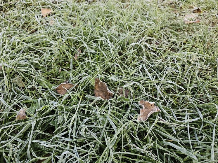 В Калининградской области температура в начале мая может достичь -3°С