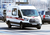 В Подмосковье от удара током погиб 33-летний мужчина