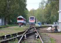 На станции Куберле на несколько часов задержали отправку поезда из Адлера в Петербург из-за схода с рельсов грузового состава. Как сообщила пресс-служба РЖД, пострадавших и угрозы экологии в результате инцидента не было.