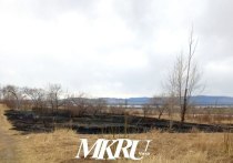 Небольшой запущенный парк в районе дома по адресу улица Энергетиков, 11 (поселок ГРЭС) горел днем 5 мая