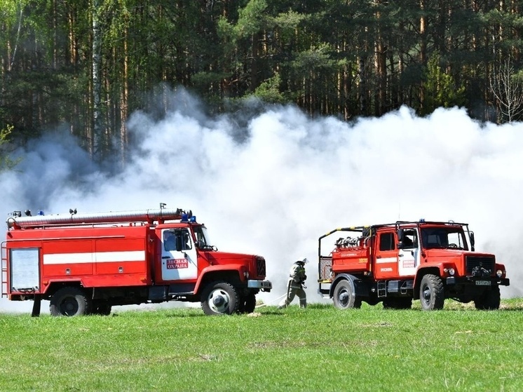 В Ярославле прошли учения по тушению лесного пожара