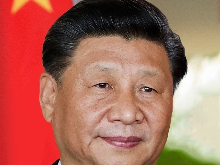 Си Цзиньпин выразил надежду на укрепление доверия между Китаем и Францией