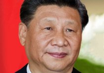 Председатель КНР Си Цзиньпин заявил, что Китай и Франция намерены сотрудничать в работе над скорейшим разрешением украинского конфликта