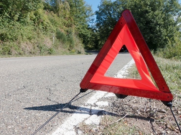 В Корсаковском районе водитель сбил пешехода на обочине и скрылся с места ДТП