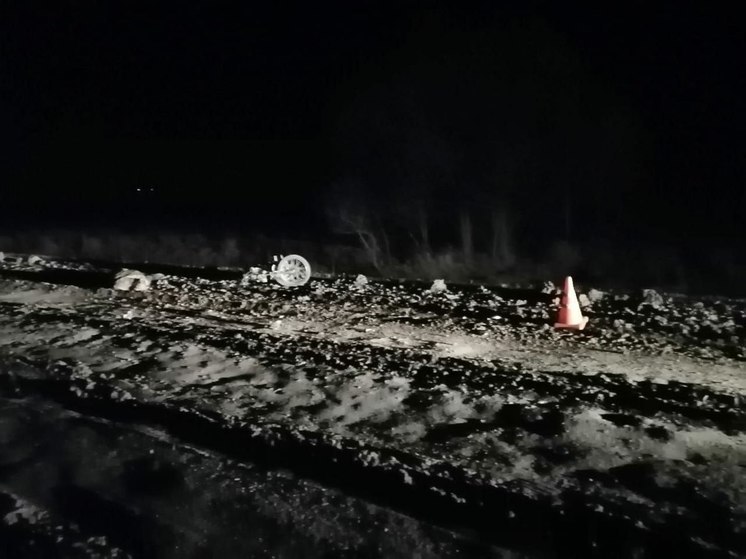 На дороге в Новосибирской области погиб водитель мопеда