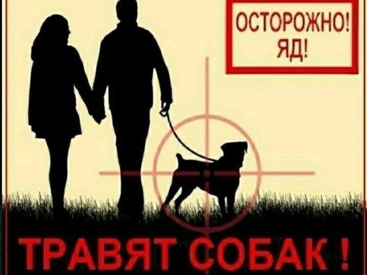 Домашнюю собаку в Ноябрьске отравили крысиным ядом