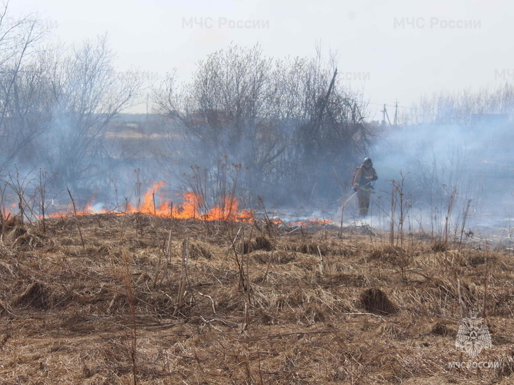 За выходные дни пожарные в Томской области 18 раз выезжали на тушение мусора и сухой травы
