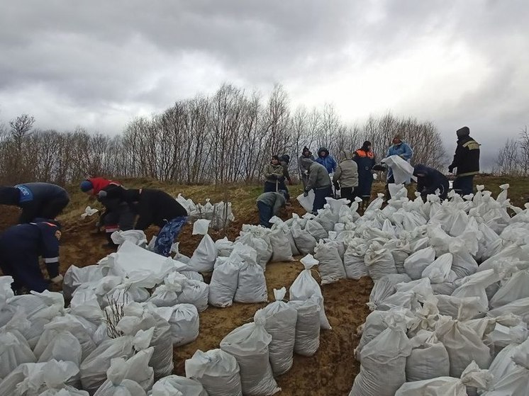В Усть-Ишиме Омской области наращивают насыпь для защиты от затопления
