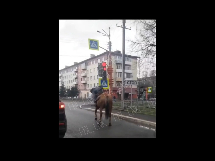 Жители кузбасского города увидели на дороге наездника на коне