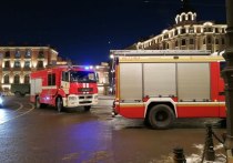 Медики госпитализировали мужчину и женщину, пострадавших при пожаре в Красносельском районе. Об этом сообщили в пресс-службе МЧС по Петербургу и Ленобласти.  