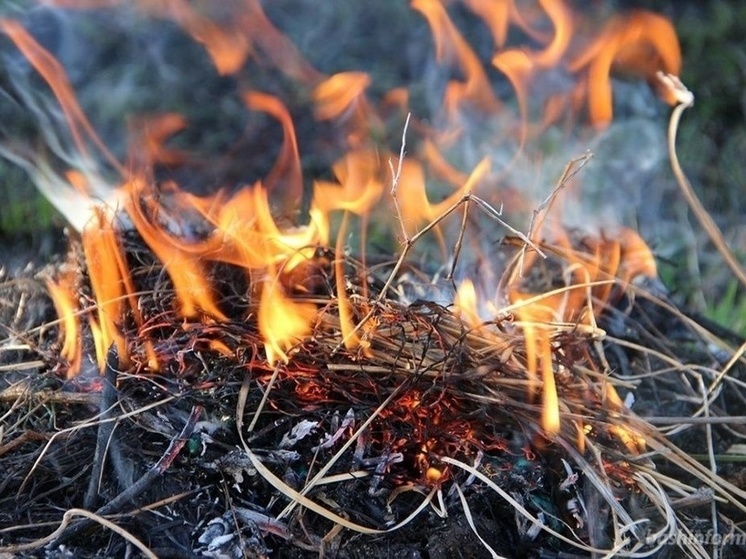 В Ростовской области 6 мая объявили чрезвычайную пожароопасность