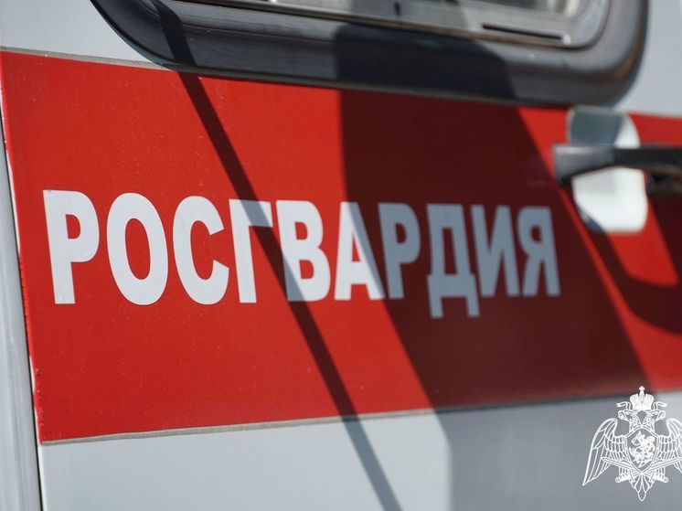 Житель Петрозаводска разбил бутылки спиртного в магазине на 11 тысяч рублей