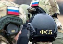 Мужчину, который планировал взорвать здания двух судов в Тамбове, задержали сотрудники регионального управления ФСБ