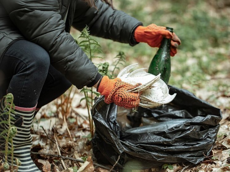 Жителей и гостей Алтайского края пристыдили за мусор в лесу