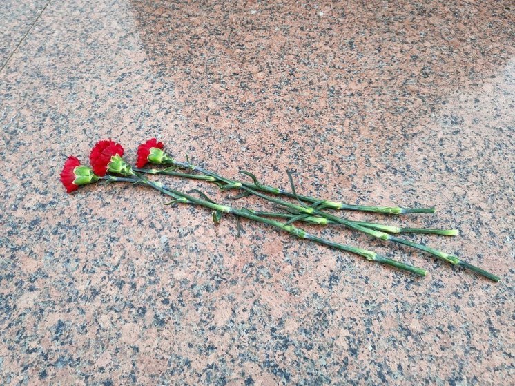 Представители ДНР возложили цветы к главной стеле Луги