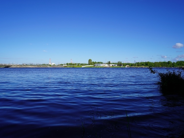 Смоленская АЭС: более 2 километров побережья Десногорского водохранилища убрали активисты акции «Зеленая весна»
